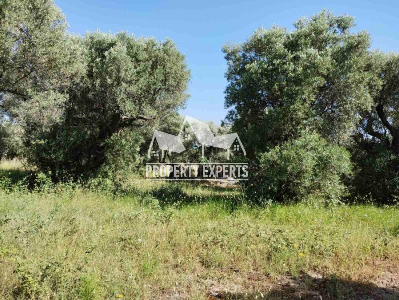 Αγροτεμάχια 814 τ.μ. προς πώληση, Μάκρη Αλεξανδρούπολης