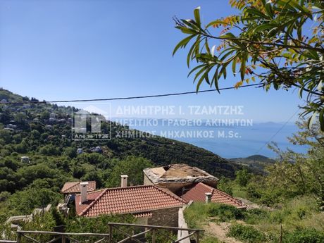 Detached home 267sqm for sale-Milies » Agios Georgios Nileias