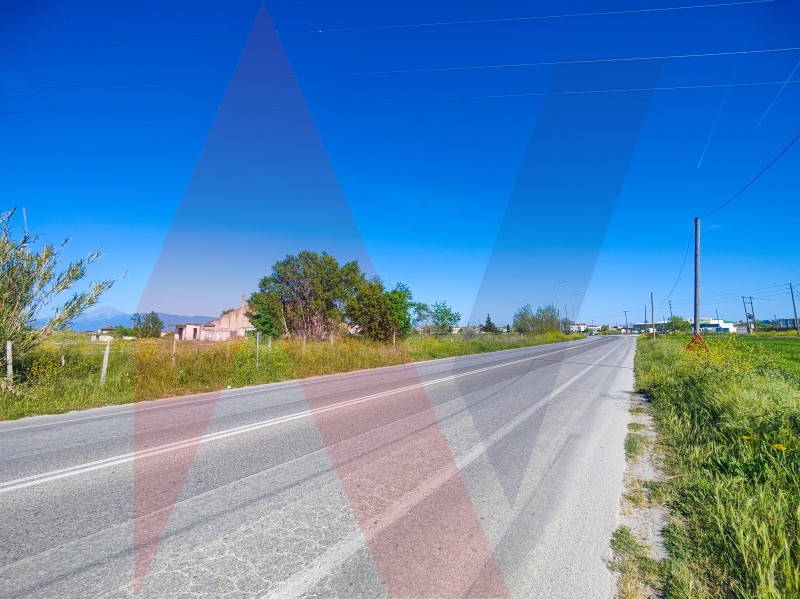 Αγροτεμάχια 17.780 τ.μ. πρός πώληση, Ν. Λάρισας, Γιαννούλη