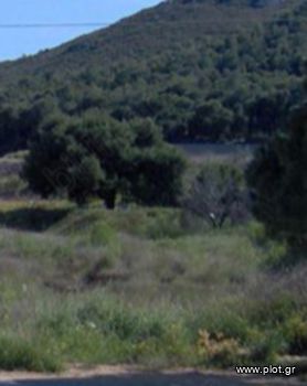 Οικόπεδο 5.700τ.μ. για πώληση-Λεγρενά