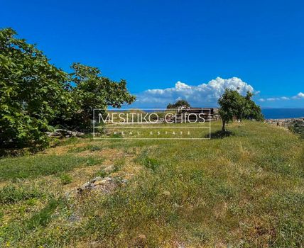 Οικόπεδο 2.038,2τ.μ. για πώληση-Χίος » Πόλη χίου
