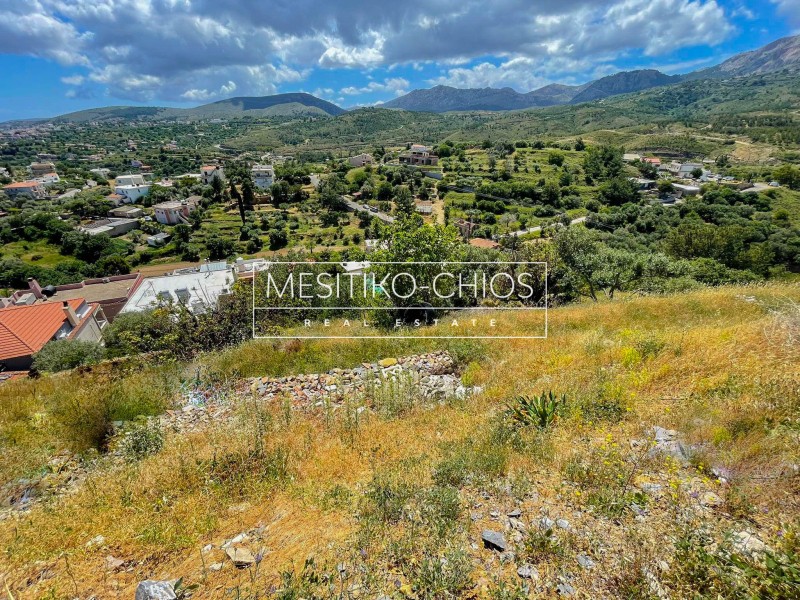 Οικόπεδο 2.038,20 τ.μ. πρός πώληση, Ν. Χίου, Χίος