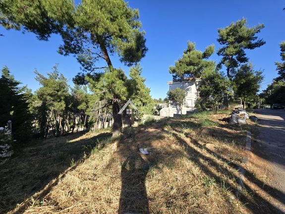 Land plot 1.000 sqm for sale, Athens - North, Stamata