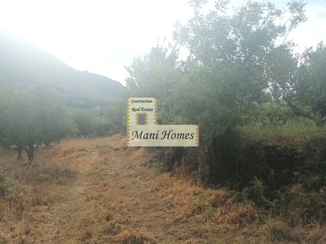 Οικόπεδο 500τ.μ. για πώληση-Λεύκτρος » Νομιτσής