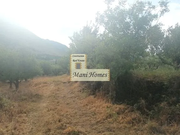 Land plot 500 sqm for sale, Messinia, Lefktros