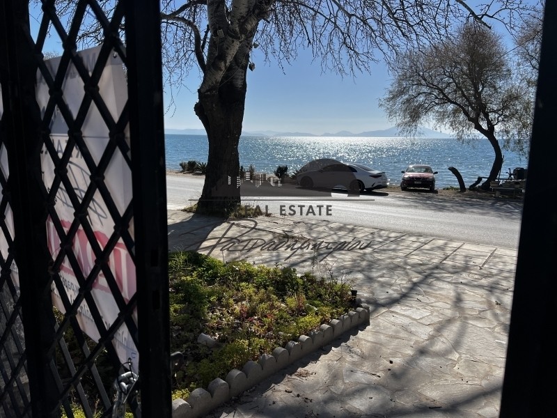 Επιχειρηματικό κτίριο 51 τ.μ. πρός πώληση, Μαγνησία, Αγριά