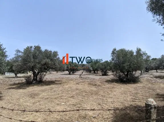 Land plot 25.000 sqm for sale, Rest Of Attica, Com. Skalas Oropou