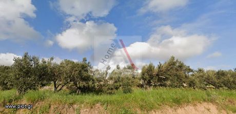 Land plot 1.300sqm for sale-Anavissos » Mavro Lithari