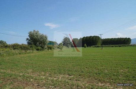 Other 43.500sqm for sale-Katerini » Olimpiaki Akti
