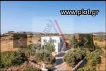 Building 195sqm for sale-Kythira » Kastrisianika