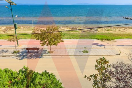 Οικόπεδο 450τ.μ. για πώληση-Βόλος » Νέες παγάσες