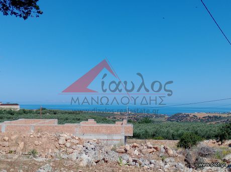Business 540sqm for sale-Geropotamos » Aggeliana