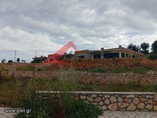 Επιχείρηση 540 τ.μ. προς πώληση, Αγγελιανά-thumb-1