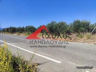 Επιχείρηση 540 τ.μ. προς πώληση, Αγγελιανά-thumb-4