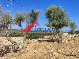 Επιχείρηση 540 τ.μ. προς πώληση, Αγγελιανά-thumb-7