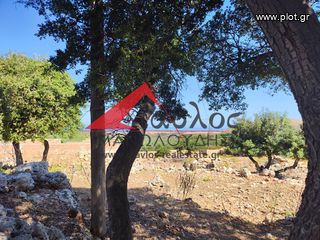 Επιχείρηση 540 τ.μ. προς πώληση, Αγγελιανά-thumb-9