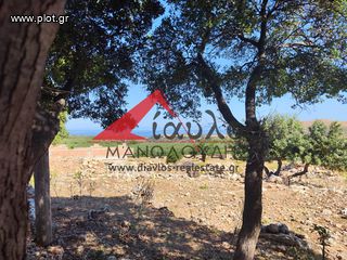 Επιχείρηση 540 τ.μ. προς πώληση, Αγγελιανά-thumb-10