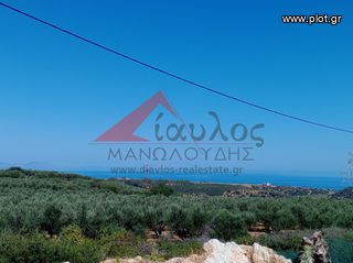 Επιχείρηση 540 τ.μ. προς πώληση, Αγγελιανά-thumb-13
