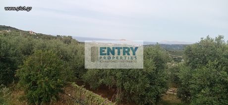 Land plot 1.003sqm for sale-Nea Kidonia » Agia Marina
