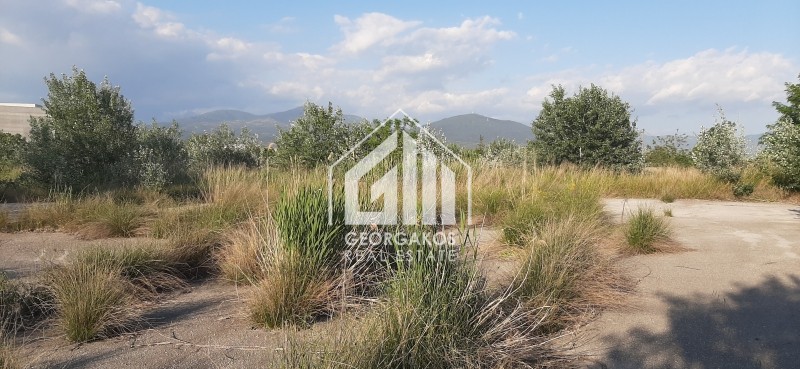 Αγροτεμάχια 8.900 τ.μ. προς πώληση, Νέο Ρύσιο