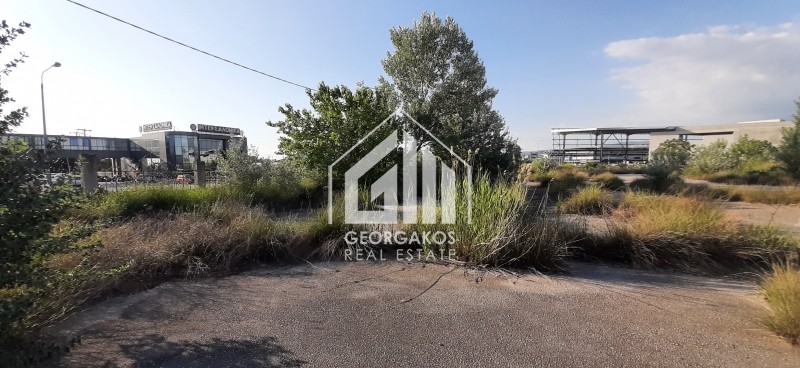 Αγροτεμάχια 8.900 τ.μ. προς πώληση, Νέο Ρύσιο