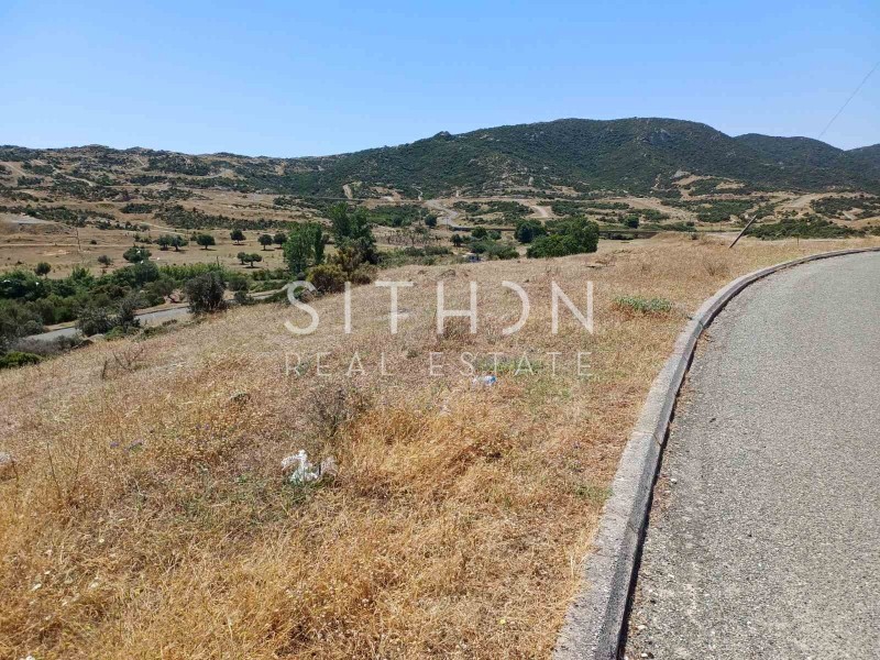 Οικόπεδο 501 τ.μ. προς πώληση, Σκάλα Συκέας