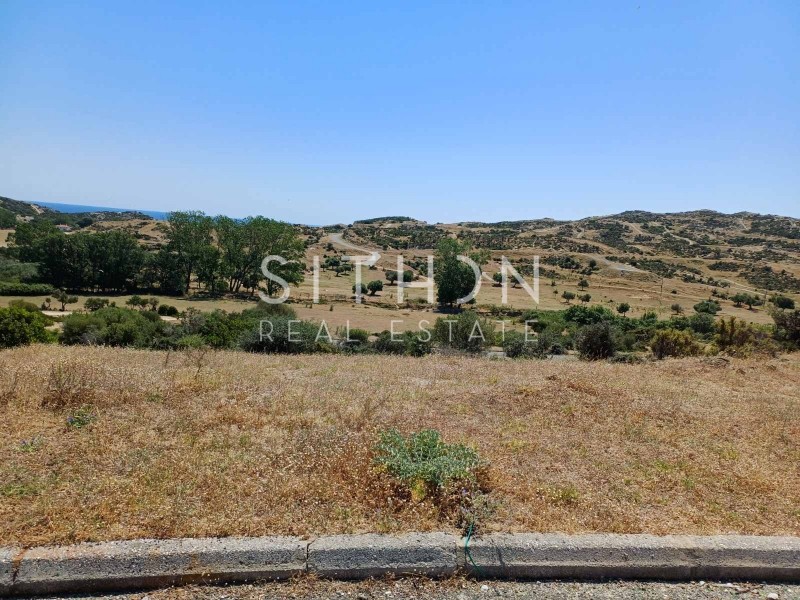 Οικόπεδο 501 τ.μ. προς πώληση, Σκάλα Συκέας