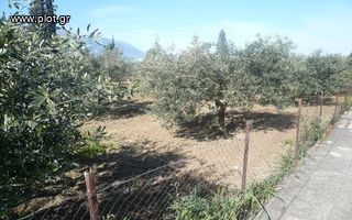 Οικόπεδο 1.773 τ.μ. για πώληση