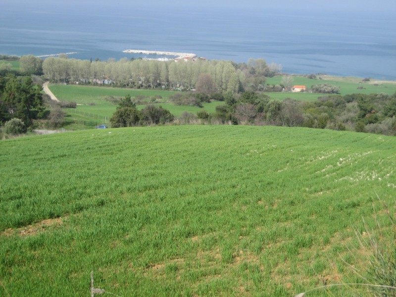 Αγροτεμάχια 12.250 τ.μ. προς πώληση, Ιερισσός