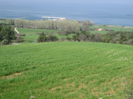 Αγροτεμάχια 12.250τ.μ. για πώληση-Σταγείρων - ακάνθου » Ιερισσός