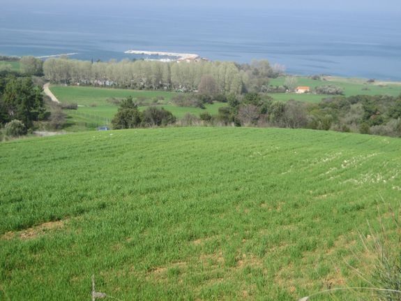Αγροτεμάχια 12.250 τ.μ. για πώληση, Χαλκιδική, Σταγείρων - Ακάνθου