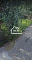 Οικόπεδο 928 τ.μ. για πώληση, Αχαΐα, Ρίο-thumb-6