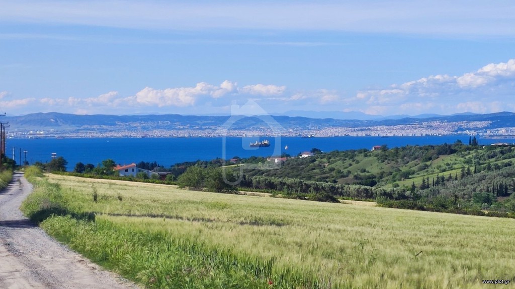 Αγροτεμάχια 20.525 τ.μ. προς πώληση, Νέα Μηχανιώνα