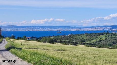 Αγροτεμάχια 20.525 τ.μ. προς πώληση