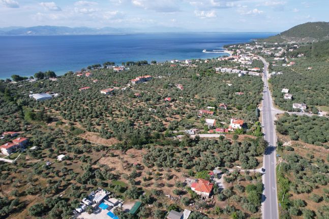 Αγροτεμάχια 5.300 τ.μ. για πώληση, Ν. Καβάλας, Θάσος
