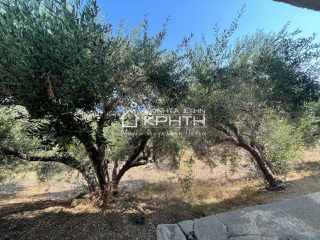 Συγκρότημα διαμερισμάτων 161 τ.μ. πρός πώληση, Ν. Λασιθίου, Σητεία-thumb-38