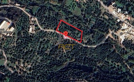 Land plot 3.747sqm for sale-Itanos » Agios Georgios
