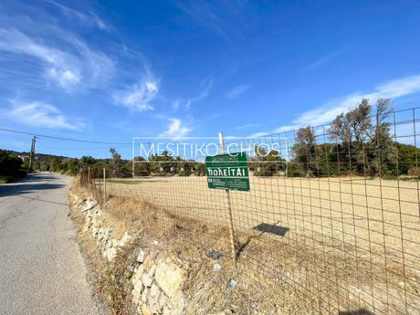 Land plot 1.359,75sqm for sale-Chios » Mastichochoria