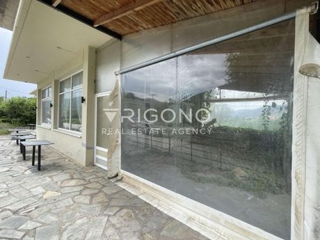 Store 236sqm for rent-Ellispontos » Kapnochori