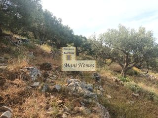 Οικόπεδο 970 τ.μ. για πώληση, Μεσσηνία, Λεύκτρος-thumb-1