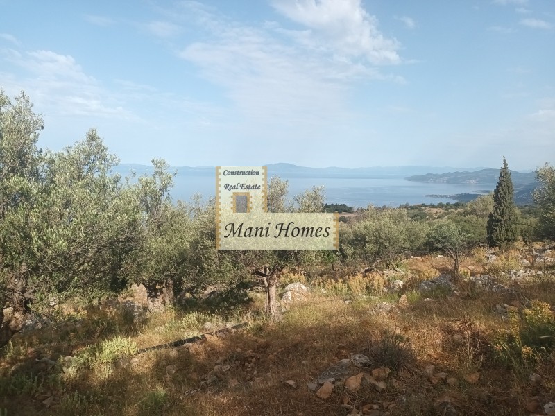 Οικόπεδο 970 τ.μ. για πώληση, Μεσσηνία, Λεύκτρος
