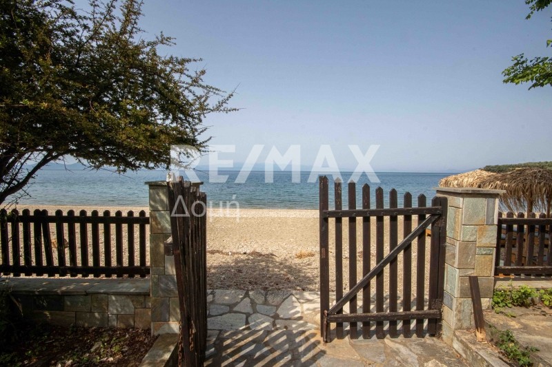 Αγροτεμάχια 585 τ.μ. πρός πώληση, Μαγνησία, Αφέτες