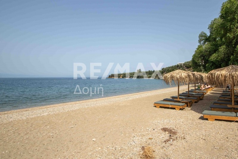 Αγροτεμάχια 585 τ.μ. πρός πώληση, Μαγνησία, Αφέτες