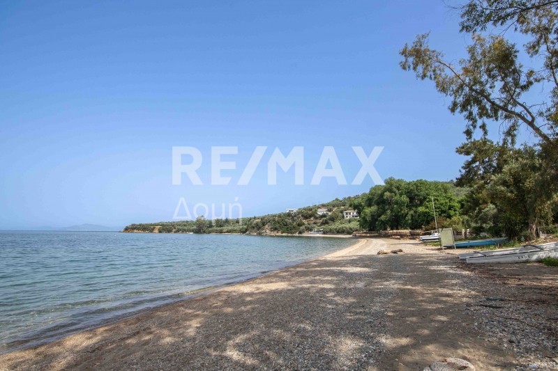 Αγροτεμάχια 585 τ.μ. πρός πώληση, Μαγνησία, Αφέτες