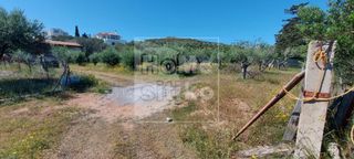 Αγροτεμάχια 2.500 τ.μ. για πώληση, Λακωνία, Ελαφόνησος-thumb-5