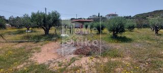 Αγροτεμάχια 2.500 τ.μ. για πώληση, Λακωνία, Ελαφόνησος-thumb-7