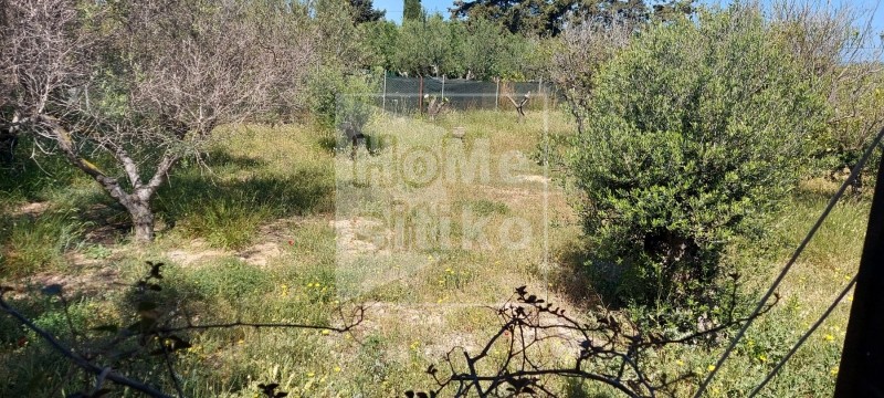 Αγροτεμάχια 2.500 τ.μ. πρός πώληση, Λακωνία, Ελαφόνησος