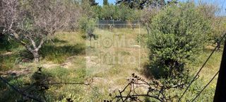 Αγροτεμάχια 2.500 τ.μ. για πώληση, Λακωνία, Ελαφόνησος-thumb-4