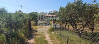 Αγροτεμάχια 2.500 τ.μ. για πώληση, Λακωνία, Ελαφόνησος-thumb-6
