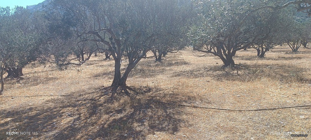 Αγροτεμάχια 18.000 τ.μ. πρός πώληση, Ν. Λασιθίου, Ιεράπετρα